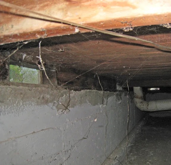 Crawl Space Water Damage Repair in Apache Junction, AZ
