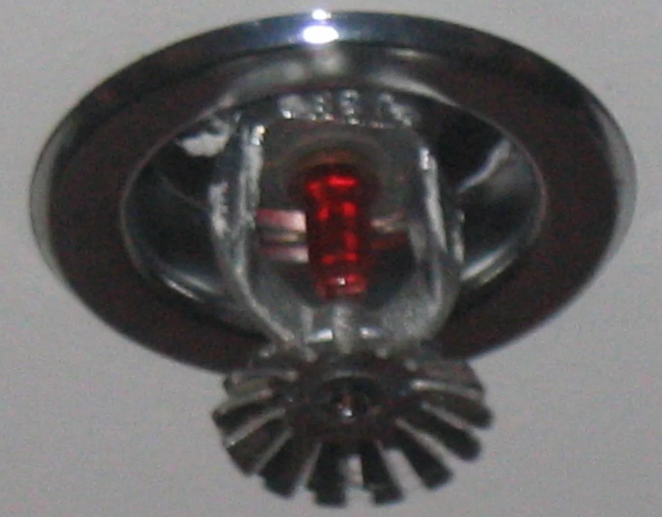 Fire Sprinkler Discharge Water Removal in Apache Junction, AZ
