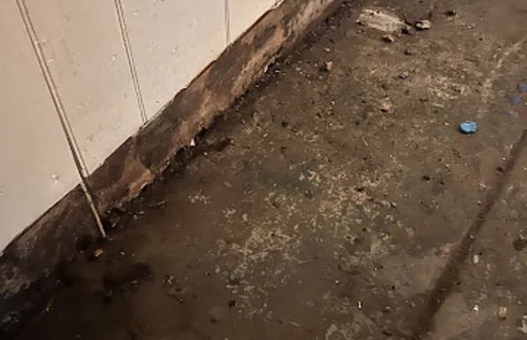 Sewage Cleanup & Disinfection in Apache Junction, AZ